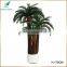 home decoration wholesale dried artificial cycas revoluta tree for sale