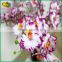 novelty 2015 china artificial flowers orchid for home decoration