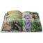 children colorful book printing english books for children