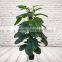 Artificial Pothos Plants On Coconut Pole