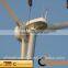 small commercial wind generator with high output 20kw/Windkraftanlage/Windrad