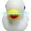 Rubber Duck Bath Toy, Floating Duck Wholesale Vinyl Toy