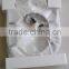 FG1121UF good quality European popular style water closet UF toilet seat