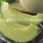 IQF fruits