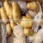 Fresh potato price per ton