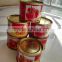 Christmas Big Sale of Canned Tomato Paste or in bulk drums