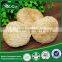 Every size Dried Organic Food, Hericium Erinaceus, Edible Mushroom