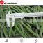 wholesales frozen green bean cut variety HEIHU 2015 crop