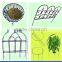 Dark Green Border Fencing Wire Garden Fence Path Support