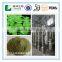 100% nutural moringa powder