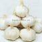 new 2015 New Crop Fresh Chinese Garlic