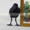 Real Looking Artificial Feathers Crows Wholesale