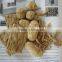 Textured Vegetarian Protein Soya Nuggets Making machine