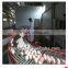 Automatic Layer Poultry Equipment/chicken Egg Poultry Farm Equipment