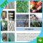 high strength vineyard plastic nylon anti bird netting