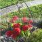 The Veranda Plant Stand