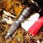 High-Tech Outdoor Multifunction Fishing Tool Knife Shovel Hammer Fire Flint Flashlight