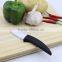 Never Rust Sharp Blade Mini Ceramic Knife With Black Handle