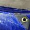 Factory Price Chinese Origin Blue Single Colour PE Tarpaulin Weight 160GSM with PP Rope in Hem