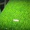 Grass Pattern PPGI And Other Customized Design