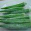 Frozen Okras
