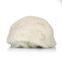 Sanxing High Quality Professional Sheep Wool
