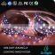 Multicolor 12mm/14mm/16mm bright smd 5050 rgb+cct  led strip light