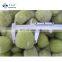 Wholesale quick frozen whole kiwi fruit IQF green kiwi