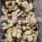 Siinocharm 2022 New Crop Hot Sale High Quality Fresh Whole Ginger