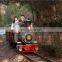 ride on track train outdoor track train for sale