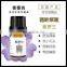 10-30L violet essential oil essential oil distillation equipment