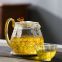 2023 Manufacture 10.9L Intelligent Glass Mini Multifunction Health Pot Preserving Electric Kettle Tea Health Pot