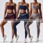 2023 New Wholesale Women Fitness Apparel Clothing Fashion Gym V Cut Waist Leggings Shorts 2 / 3 Piece Activewear Yoga Suit Set