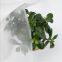 Anti Garden Netting Fine Mesh Crops protection Netting Anti Insect Net
