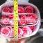Durable honey peach coral peach rose flowers