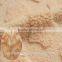 light orange knit pile shu velveteen fabric