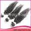 Unprocessed Cheap 100%Virgin Human Hair Indian Hair Extension For Water Wave Curly