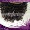 7A curly malaysian virgin hair lace closure 4x4 middle/free 3 part human hair closure Deep Curly on sale
