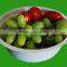 100%sugarcane fibre eco friendly oil resisting large cereal bowl