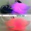 Led Light up Sea Animal