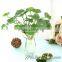 Competitive price potted artificial mini plant for home decorations