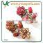 Rhinestone Clip For Hair