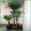 wholesale plastic coconut tree artificial coconut palm tree                        
                                                                                Supplier's Choice