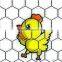 hot dipped galvanized woven animal protection hexagonal mesh