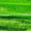7mm green plush fabric