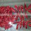 Varieties Chinese origin dry red chilli, dry Red chilli, yidu chili