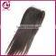 cheap ombre human hair extension lace front closure