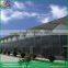 Venlo roof type PC greenhouse small greenhouse polycarbonate roofing