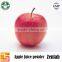 Freeze dried Apple juice powder
