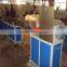 PP Drinking Straw Extrusion Line Made in Qingdao